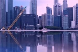 惊险刺激的淹城野生动物世界杯,一场生态与娱乐的完美结合淹城野生动物世界杯