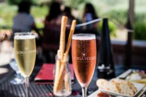 2026世界杯要熬夜吗？2026世界杯要熬夜吗