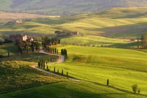 90年世界杯荷兰,一段辉煌的历史与传奇的延续90世界杯荷兰